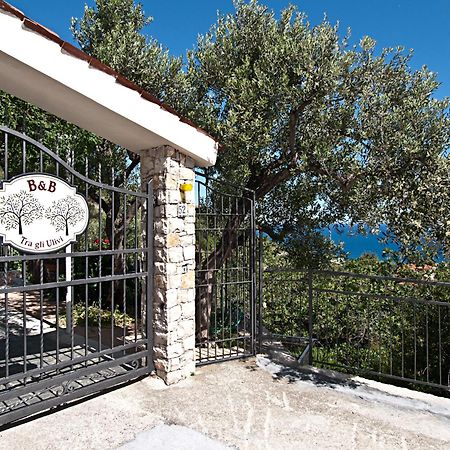 Tra Gli Ulivi Bed & Breakfast Pietra Ligure Eksteriør bilde