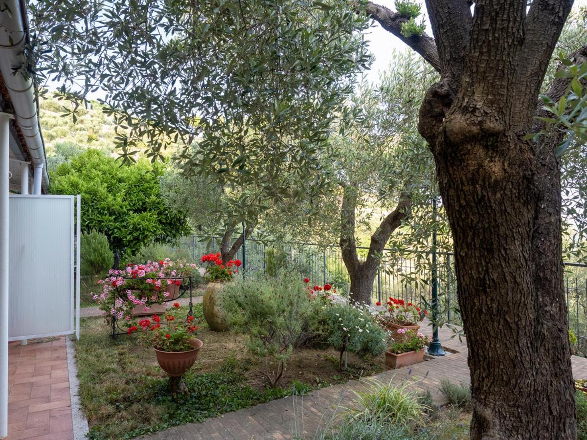 Tra Gli Ulivi Bed & Breakfast Pietra Ligure Eksteriør bilde