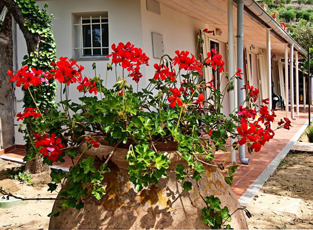 Tra Gli Ulivi Bed & Breakfast Pietra Ligure Eksteriør bilde